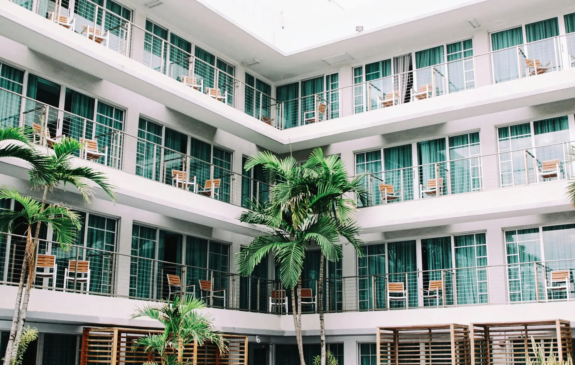 coconut palm trees in hotel lobby